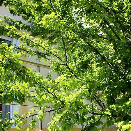 Sofia Filoxenia